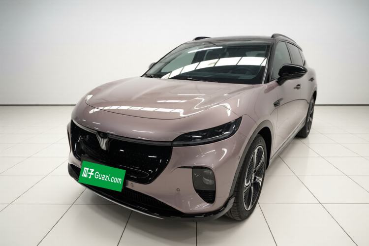 VOYAH COURAGE 2024 Four-Wheel Drive Global Edition