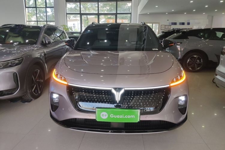 Used VOYAH COURAGE 2024 Four-Wheel Drive Global Edition Front