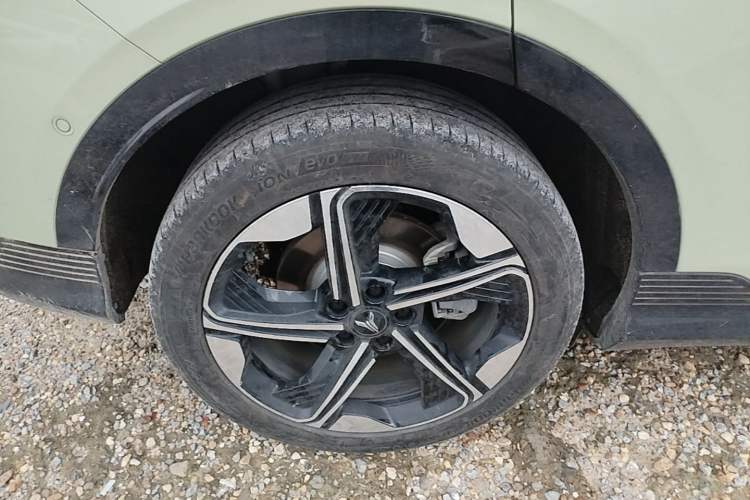 Used VOYAH COURAGE 2024 Long-Range Smart Edition Exterior 5