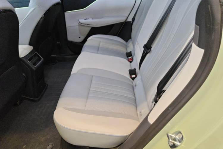 Used VOYAH COURAGE 2024 Long-Range Smart Edition Left Rear Seat