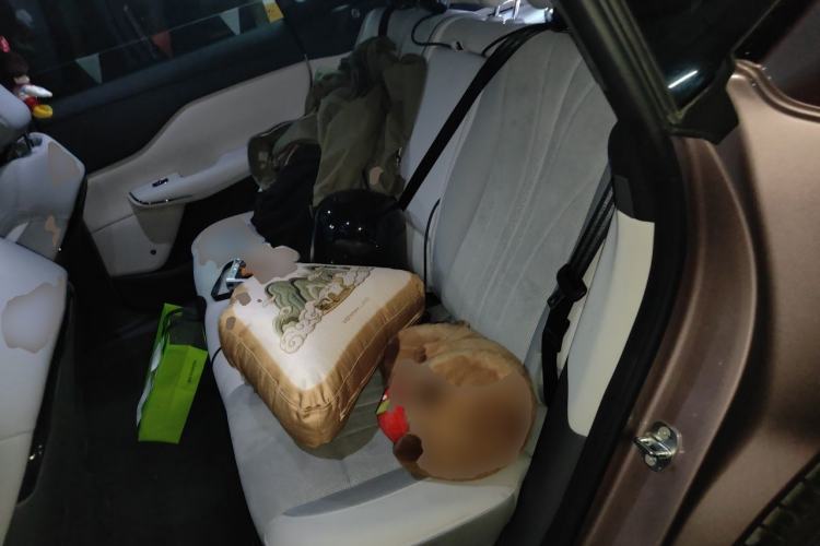 Used VOYAH COURAGE 2024 Four-Wheel Drive Global Edition Left Rear Seat