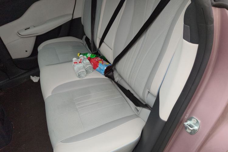 Used VOYAH COURAGE 2024 Four-Wheel Drive Global Edition Left Rear Seat