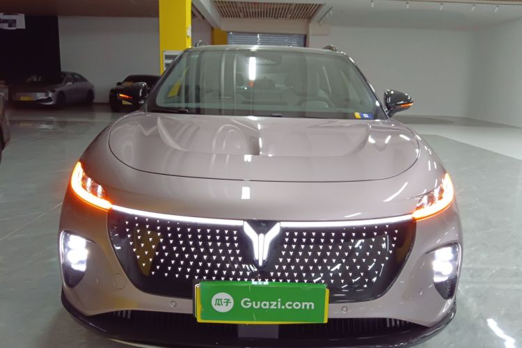 Used VOYAH COURAGE 2024 Four-Wheel Drive Global Edition Front