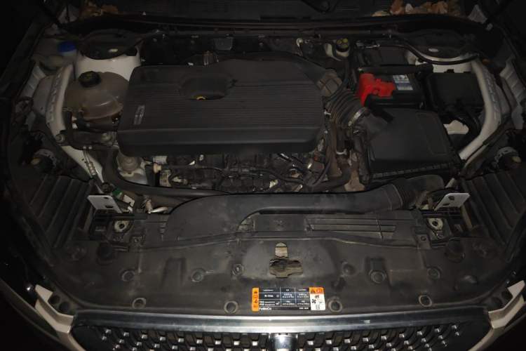 Used VOYAH COURAGE 2024 Ultra-Long Range Smart Enjoyment Version Engine Bay