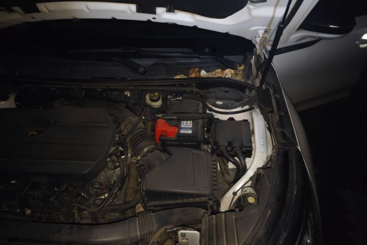 Used VOYAH COURAGE 2024 Ultra-Long Range Smart Enjoyment Version Engine Bay Left