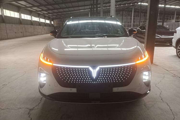 Used VOYAH COURAGE 2024 Four-Wheel Drive Global Edition Front