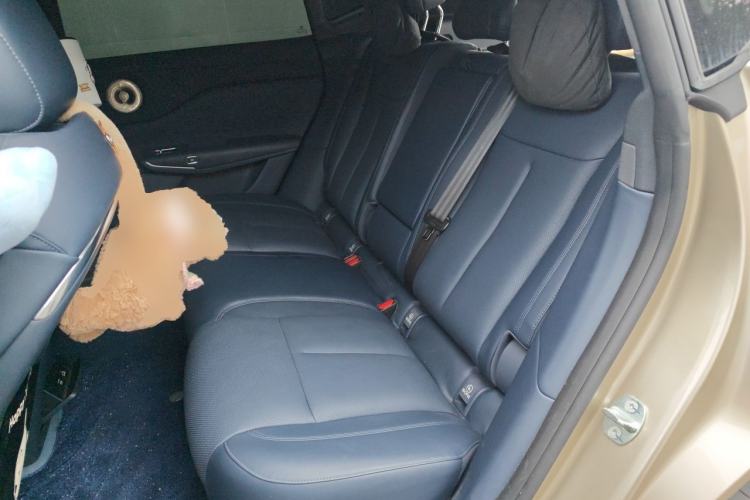 Used VOYAH COURAGE 2025 Model Rear-Drive Qiankun Edition Left Rear Seat
