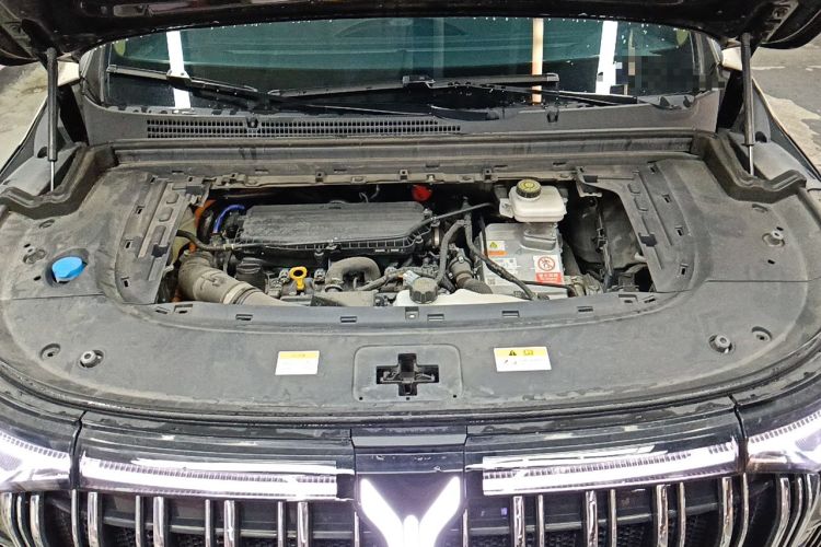 Used VOYAH Dream 2022 Low-Carbon Edition Dream+ Smart Enjoyment Package Engine Bay