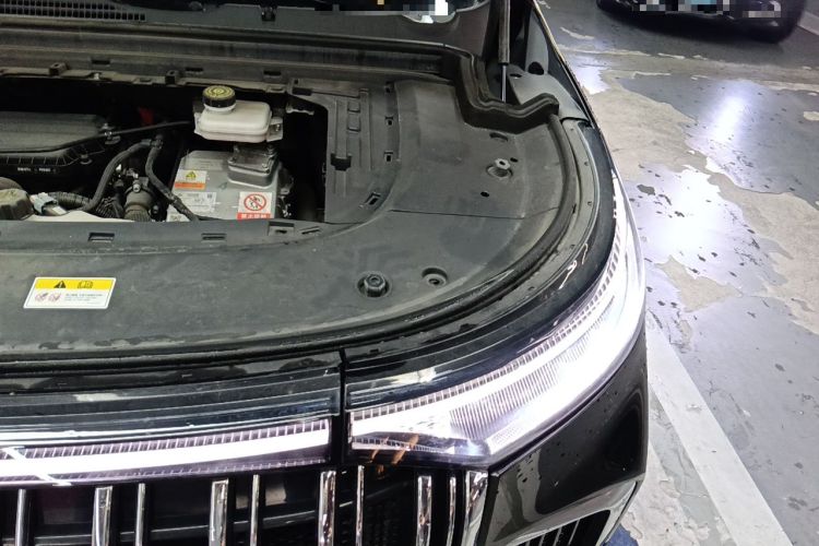 Used VOYAH Dream 2022 Low-Carbon Edition Dream+ Smart Enjoyment Package Engine Bay Left