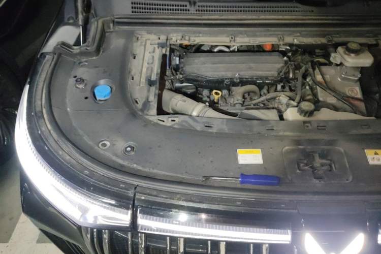 Used VOYAH Dream 2022 Low-Carbon Edition Dream+ Smart Enjoyment Package Engine Bay Right