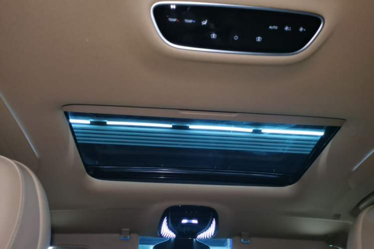 Used VOYAH Dream 2022 Low-Carbon Edition Dream+ Smart Enjoyment Package Headliner