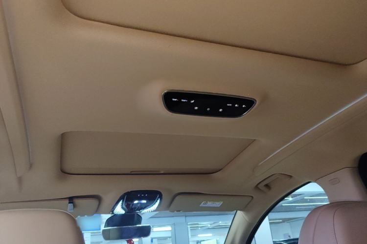 Used VOYAH Dream 2022 Low-Carbon Edition Home Headliner