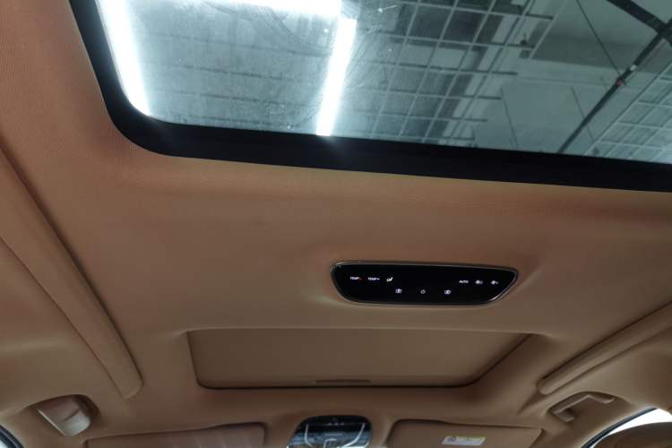 Used VOYAH Dream 2022 Low-Carbon Edition Home Headliner