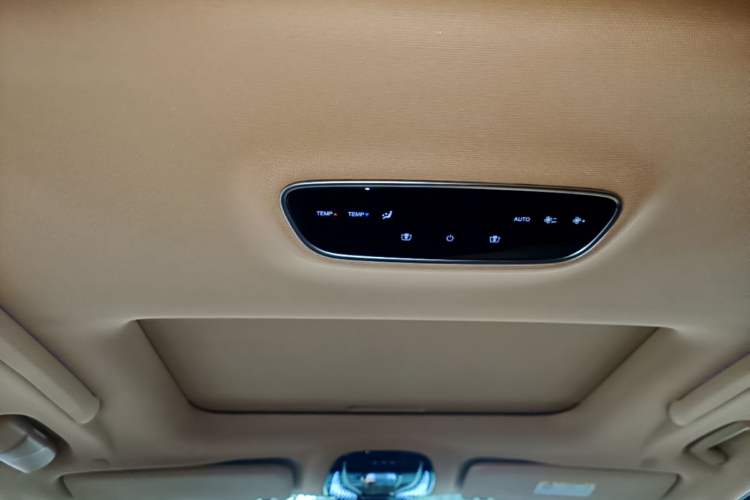 Used VOYAH Dream 2022 Low-Carbon Edition Dream+ Smart Enjoyment Package Headliner