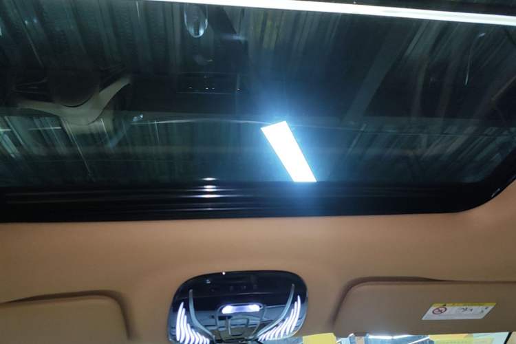 Used VOYAH Dream 2022 Low-Carbon Edition Home Headliner