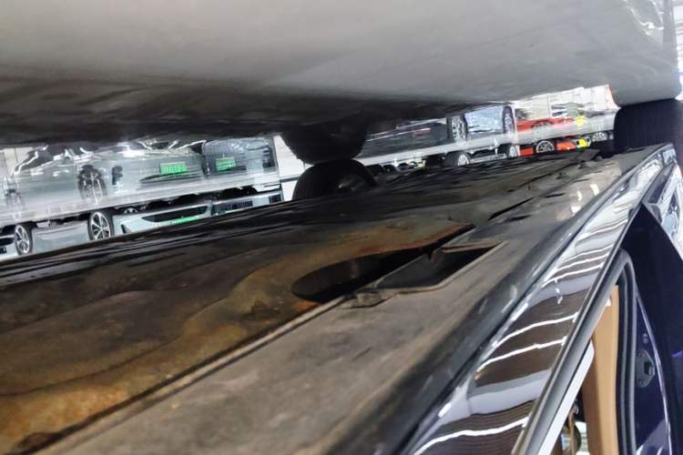 Used VOYAH Dream 2022 Low-Carbon Edition Home Left Side Sill