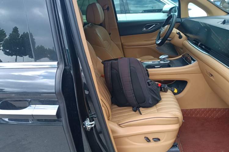 Used VOYAH Dream 2022 Low-Carbon Edition Dream+ Smart Enjoyment Package Right Front Seat