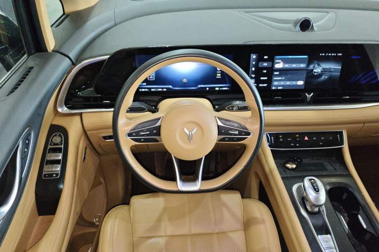 Used VOYAH Dream 2022 Low-Carbon Edition Home Steering Wheel