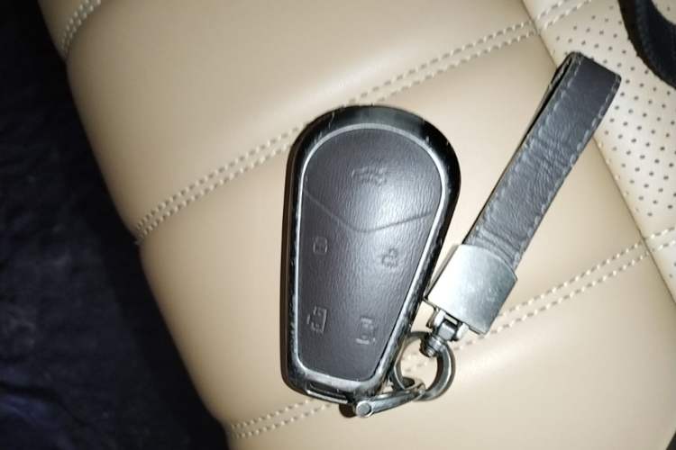 Used VOYAH Dream 2022 Low-Carbon Edition Home Vehicle Key