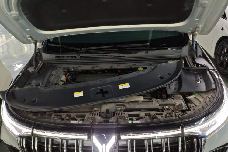Used VOYAH Dream 2022 Low-Carbon Edition Dream+ Smart Enjoyment Package Engine Bay