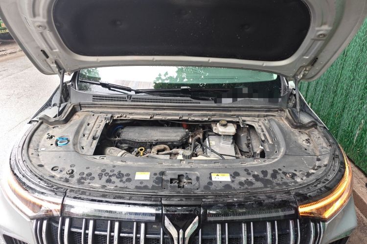 Used VOYAH Dream 2022 Low-Carbon Edition Dream+ Smart Enjoyment Package Engine Bay