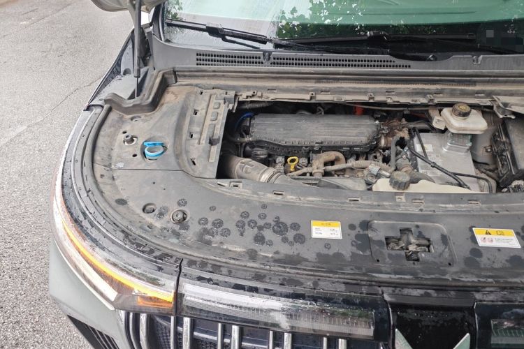 Used VOYAH Dream 2022 Low-Carbon Edition Dream+ Smart Enjoyment Package Engine Bay Right