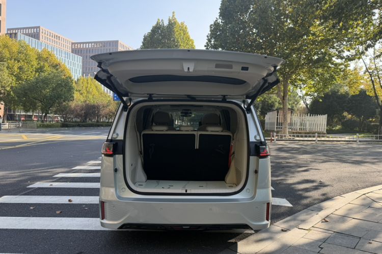 Used VOYAH Dream 2022 Low-Carbon Edition Dream+ Smart Enjoyment Package Exterior 11