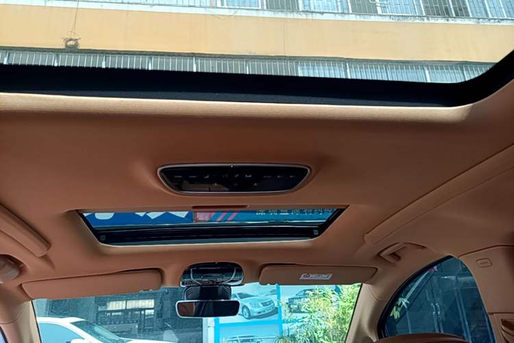 Used VOYAH Dream 2022 Low-Carbon Edition Plus Intelligent Driving Package Headliner