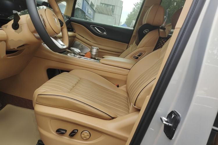 Used VOYAH Dream 2022 Low-Carbon Edition Dream+ Smart Enjoyment Package Left Front Seat