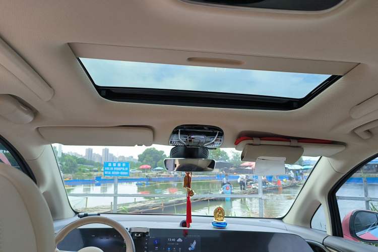 Used VOYAH Dream 2022 Low-Carbon Edition Home Headliner