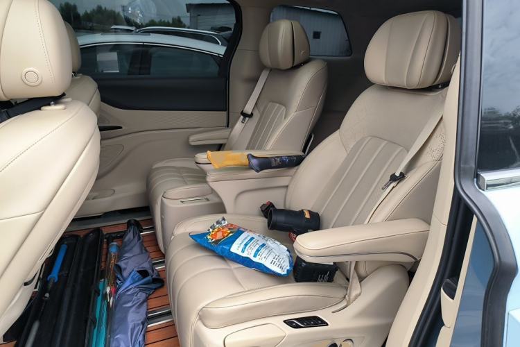 Used VOYAH Dream 2022 Low-Carbon Edition Home Left Rear Seat