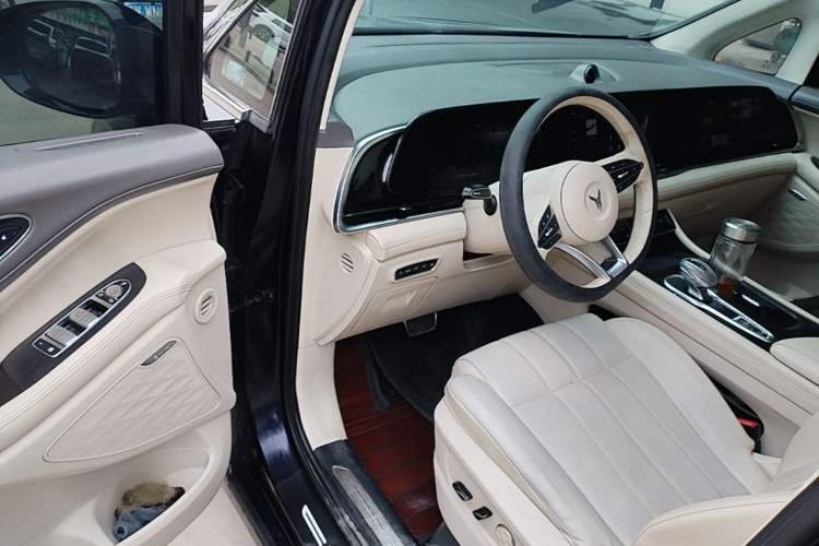 Used VOYAH Dream 2022 Low-Carbon Edition Plus Intelligent Driving Package Driver Seat