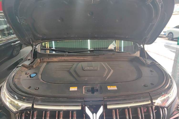 Used VOYAH Dream 2022 Low-Carbon Edition Dream+ Smart Enjoyment Package Engine Bay