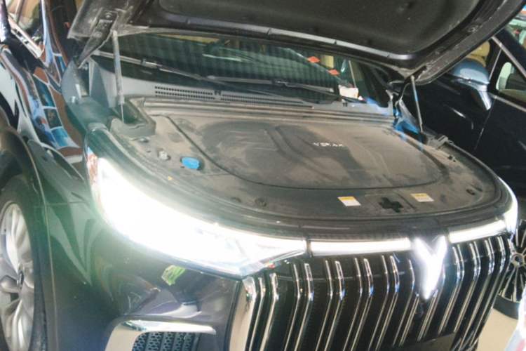 Used VOYAH Dream 2022 Low-Carbon Edition Home Engine Bay
