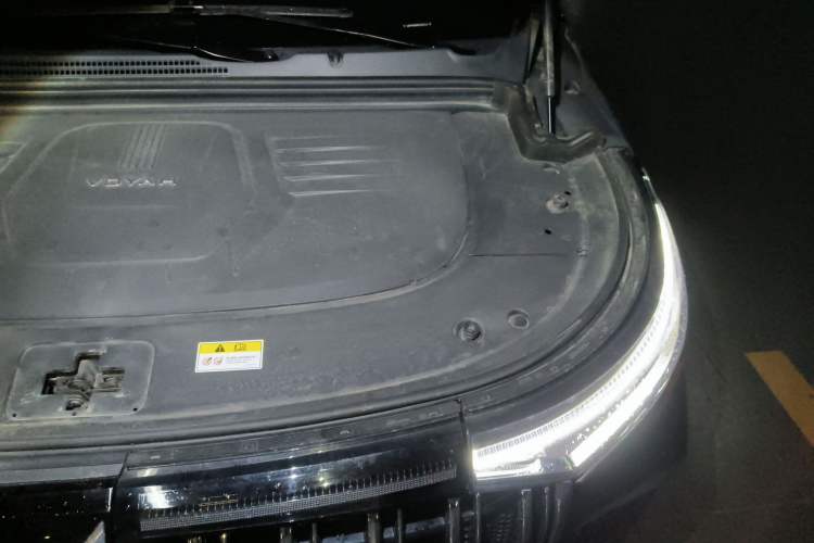 Used VOYAH Dream 2022 Low-Carbon Edition Dream+ Smart Enjoyment Package Engine Bay Left
