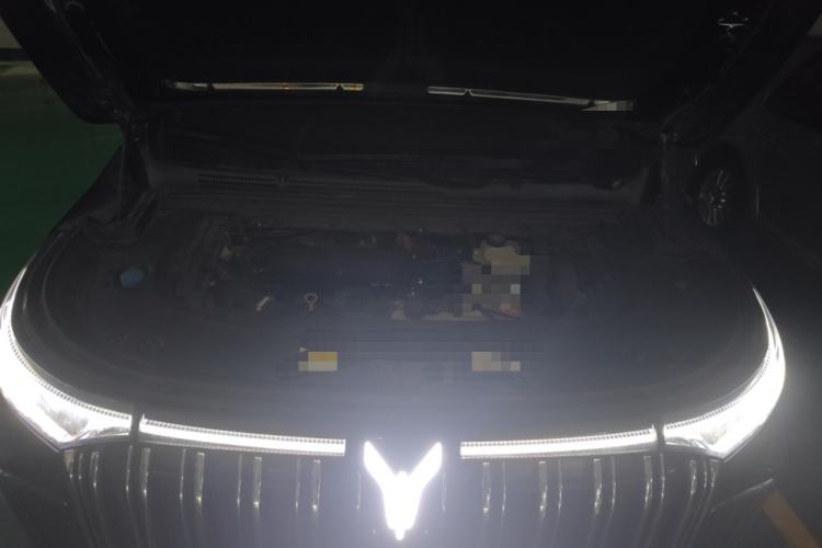 Used VOYAH Dream 2022 Low-Carbon Edition Dream+ Smart Enjoyment Package Engine Bay