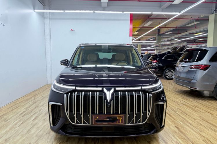 Used VOYAH Dream 2022 Low-Carbon Edition Home Exterior 2