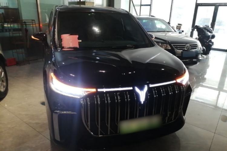 Used VOYAH Dream 2022 Low-Carbon Edition Home Front