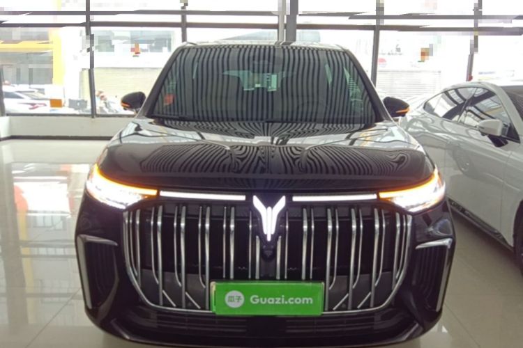 Used VOYAH Dream 2022 Low-Carbon Edition Dream+ Smart Enjoyment Package Front