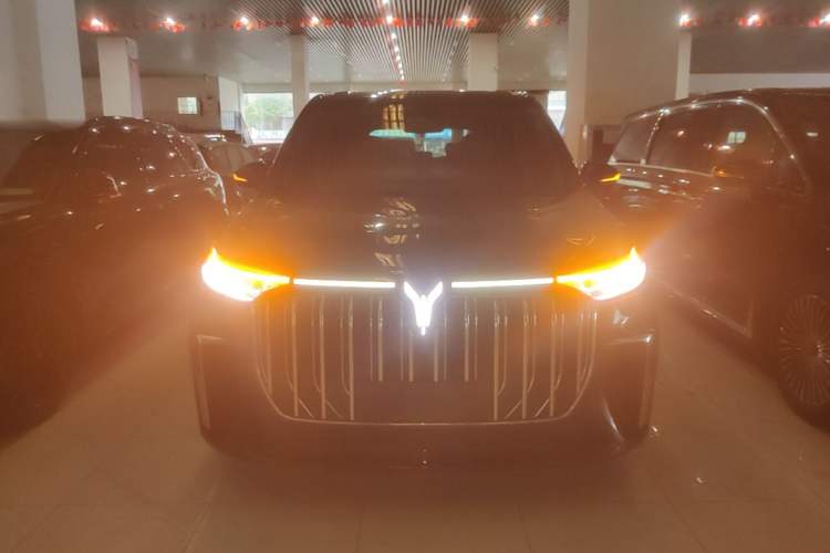 Used VOYAH Dream 2022 Low-Carbon Edition Dream+ Smart Enjoyment Package Front