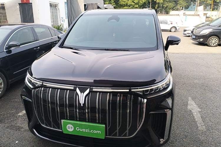 Used VOYAH Dream 2022 Zero-Carbon Edition Plus Intelligent Driving & Range Package—605 km Front