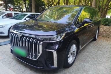 Used VOYAH Dream 2022 Low-Carbon Edition Home