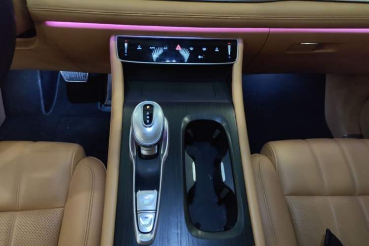 Used VOYAH Dream 2022 Zero-Carbon Edition Plus Intelligent Driving & Range Package—605 km Gear Lever