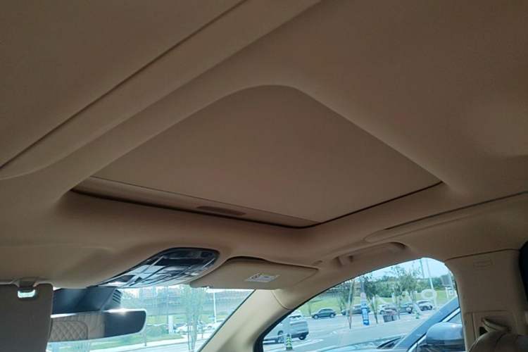 Used VOYAH Dream 2022 0-Emission Version Range of 475 km Headliner