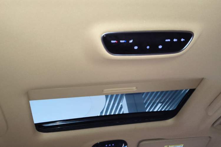 Used VOYAH Dream 2022 Low-Carbon Edition Home Headliner