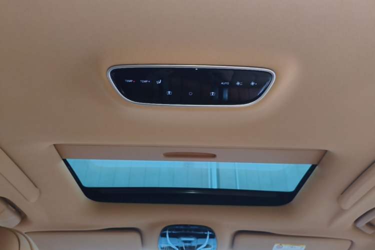 Used VOYAH Dream 2022 Low-Carbon Edition Home Headliner