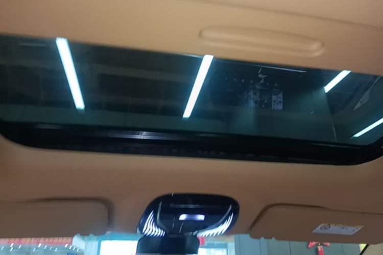 Used VOYAH Dream 2022 Low-Carbon Edition Plus Intelligent Driving Package Headliner