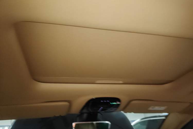 Used VOYAH Dream 2022 Low-Carbon Edition Home Headliner