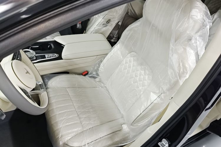 Used VOYAH Dream 2022 Low-Carbon Edition Dream+ Smart Enjoyment Package Left Front Seat