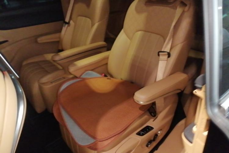 Used VOYAH Dream 2022 Low-Carbon Edition Home Left Rear Seat